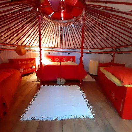 B&B L'Albatros Fayence Εξωτερικό φωτογραφία