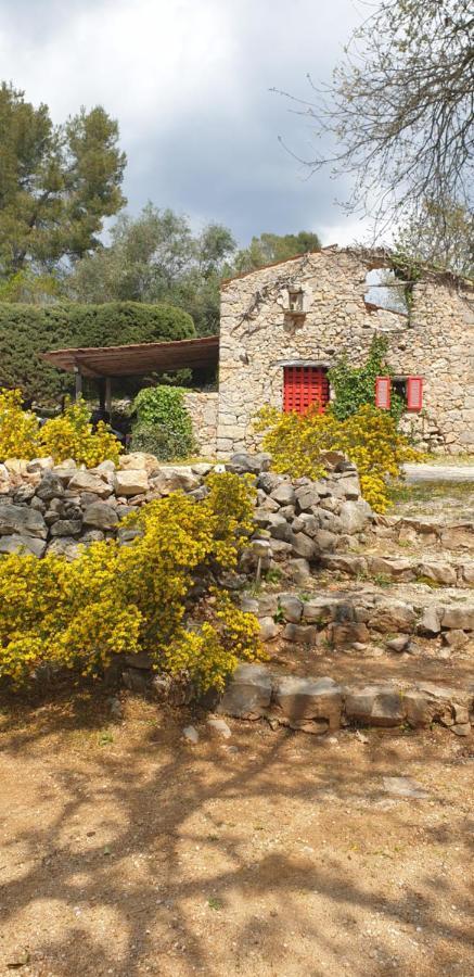 B&B L'Albatros Fayence Εξωτερικό φωτογραφία